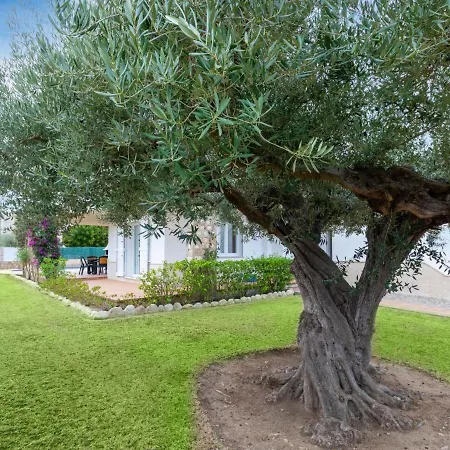 Mar I Cel By Interhome ל'אמטיה דה מר
